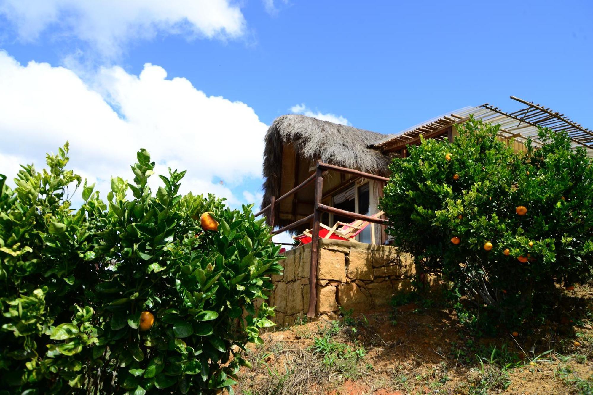 בריצ'ארה Hotel Carigua מראה חיצוני תמונה
